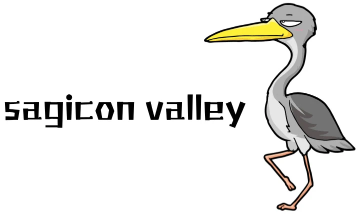 sagicon valley